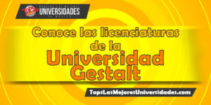 Universidad Gestalt