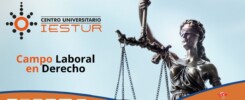 Todo lo que debes saber del campo laboral en derecho