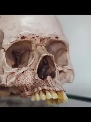 Haz de tu vocación una carrera con futuro en la Universidad Cuauhtémoc.